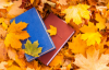 two books surrounded by autumn leaves.