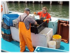 Transferring trays from boat to the buyer