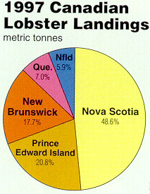 1997 Canadian Lobster Landings