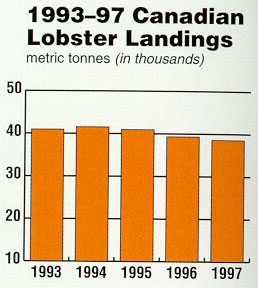 1993-97 Canadian Lobster Landings