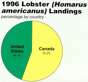 1996 Lobster Landings